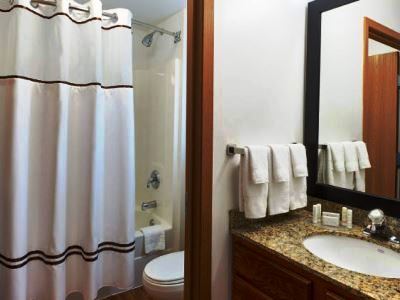 Towneplace By Marriott Downtown/north Loop Minneapolis